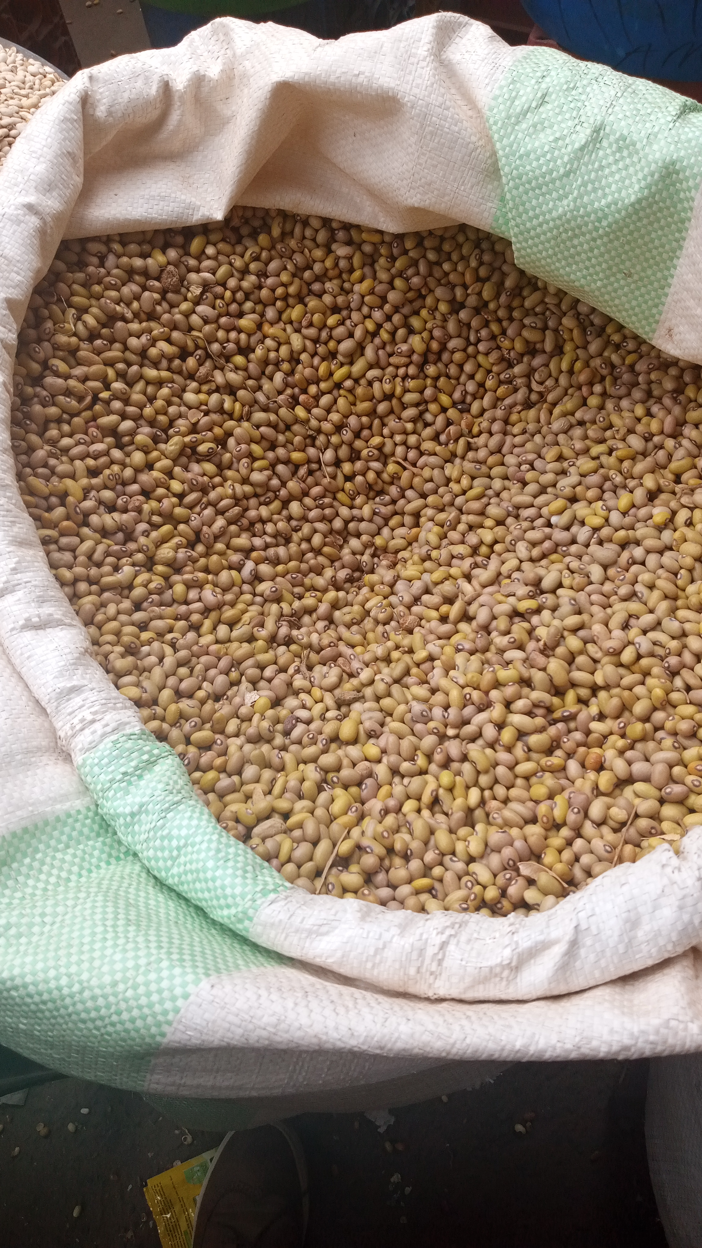 SAC MADESU GOMA BIL BIL